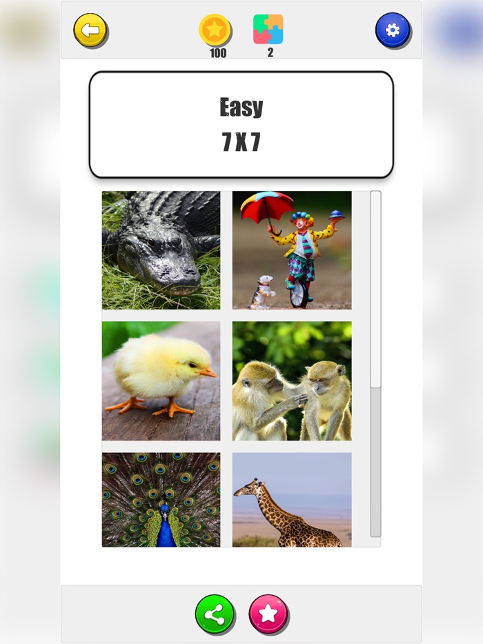 Jigsaw Puzzle - 2022