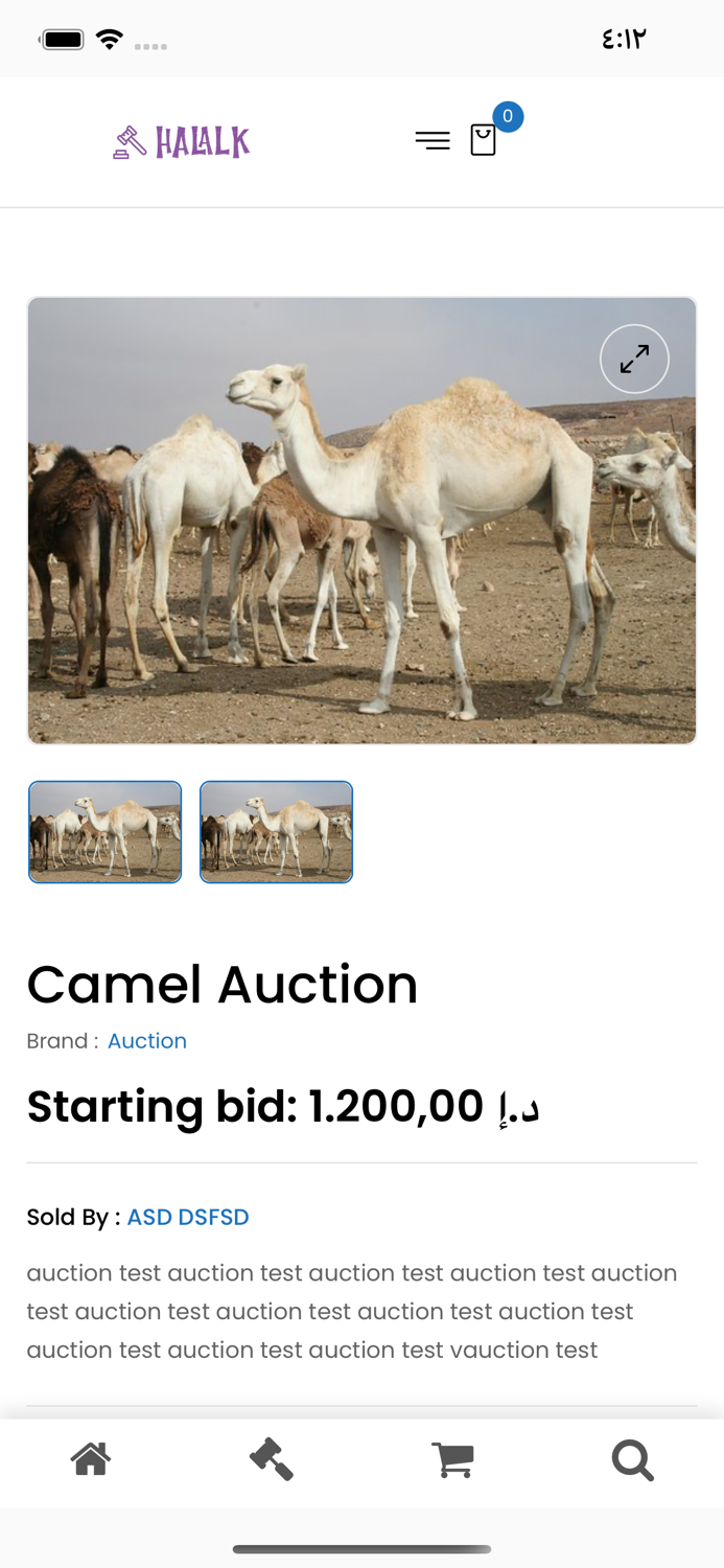 Camel world