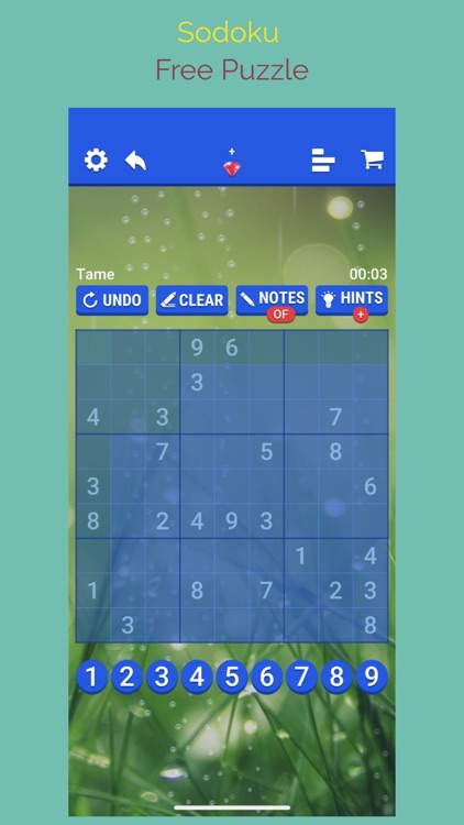 Sudoku - Number Place - Puzzle