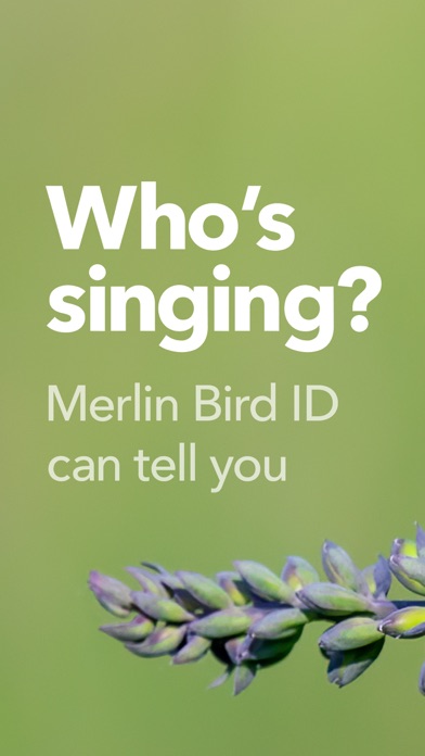 Merlin Bird ID by Cornell LabScreenshot of 1