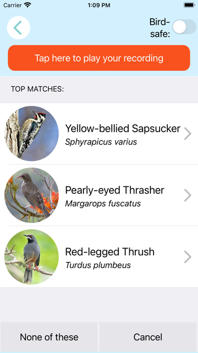 ChirpO-Caribbean Birdsong ID Screenshot