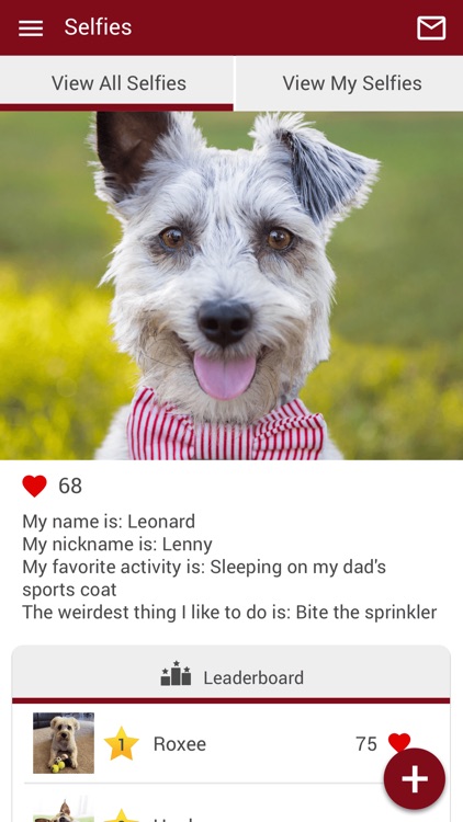 Beechwood Vet Clinic screenshot-3