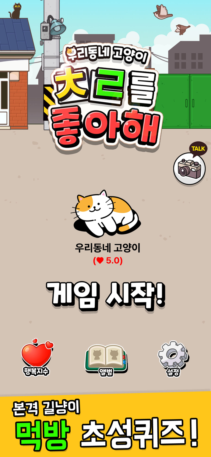 우리동네 고양이 ㅊㄹ를 좋아해