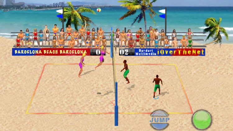 Over The Net Beach Volley