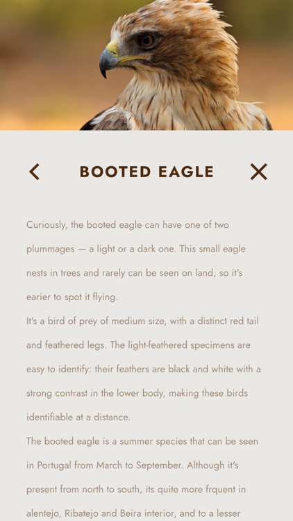 Natura Art Camping screenshot-7