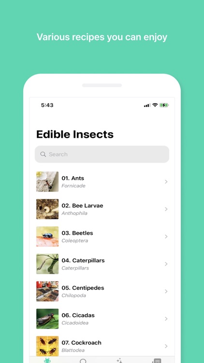 BUGHOUSE: Edible Insects