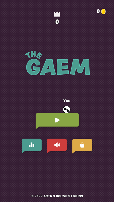 The Gaem screenshot 1