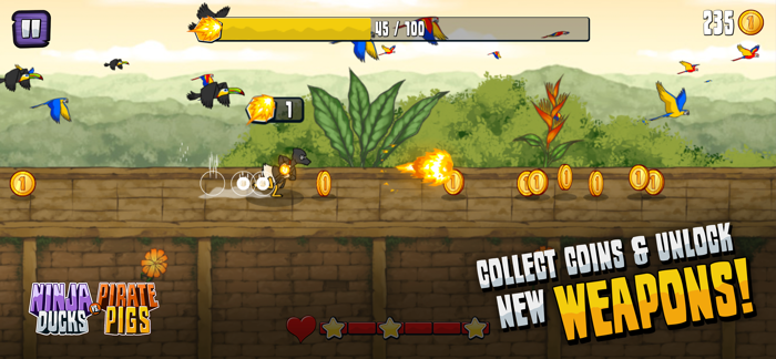 Ninja Ducks vs. Pirate Pigs