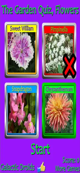 Game screenshot The Garden Quiz: Flowers hack