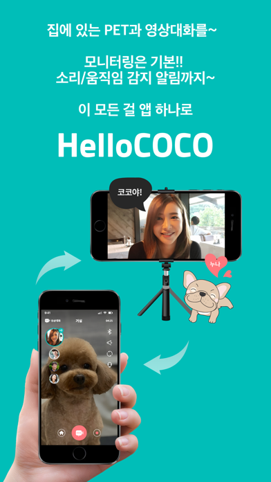 HelloCOCOのおすすめ画像1