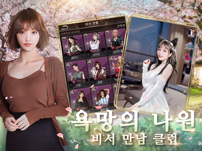 전국구  권력의 법칙