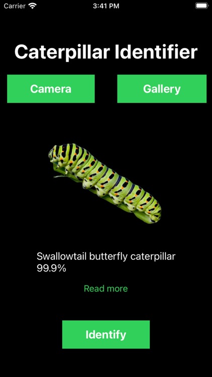 Caterpillar Identifier