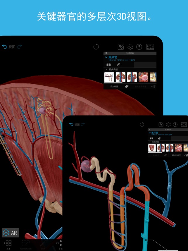 App Store 上的“2023人体解剖学图谱”
