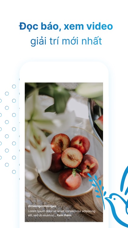 Hội Liên Hiệp Phụ Nữ Việt Nam screenshot-3