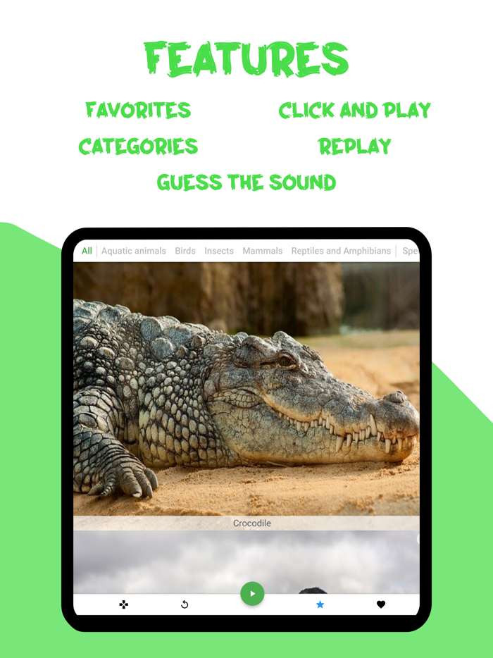 Animal sounds, Guess the verse