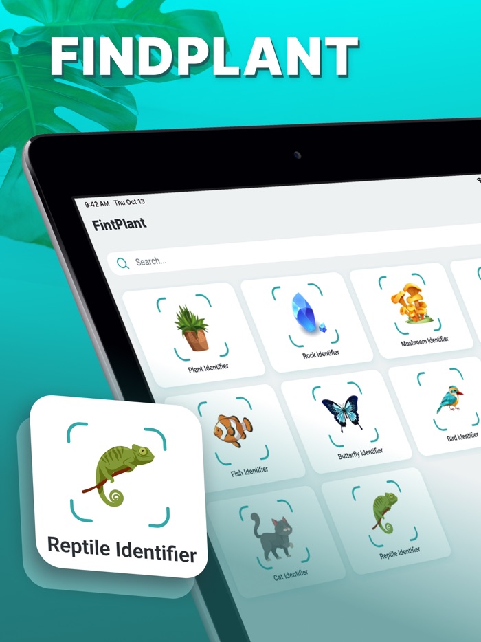 Find Plant Plant Identifier