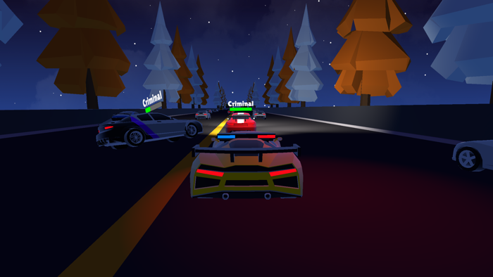 Traffic Police Chase