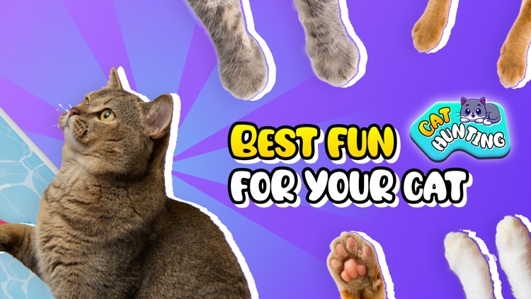 Cat Game App for Cats