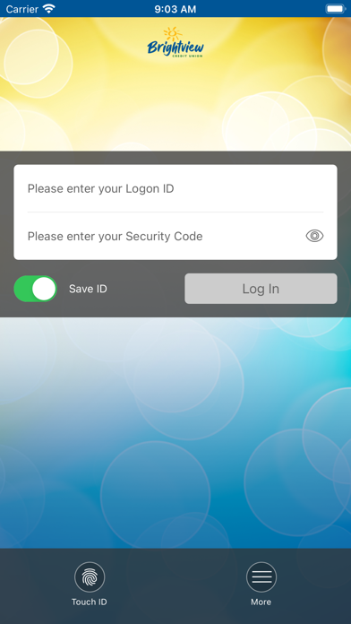 Brightview Credit Union screenshot 2