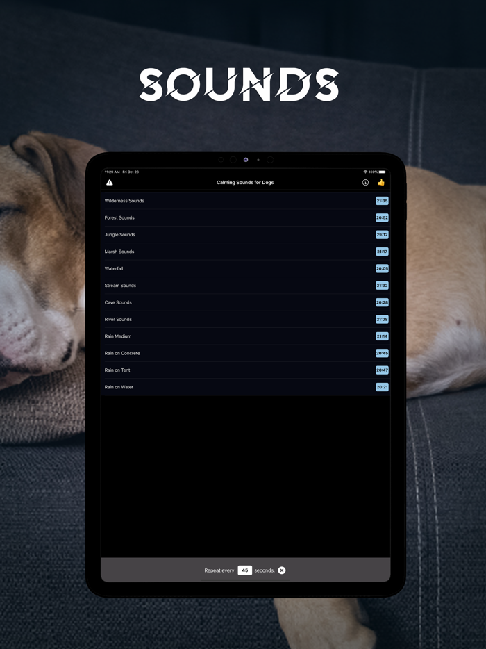 Calming Sound for Dogs