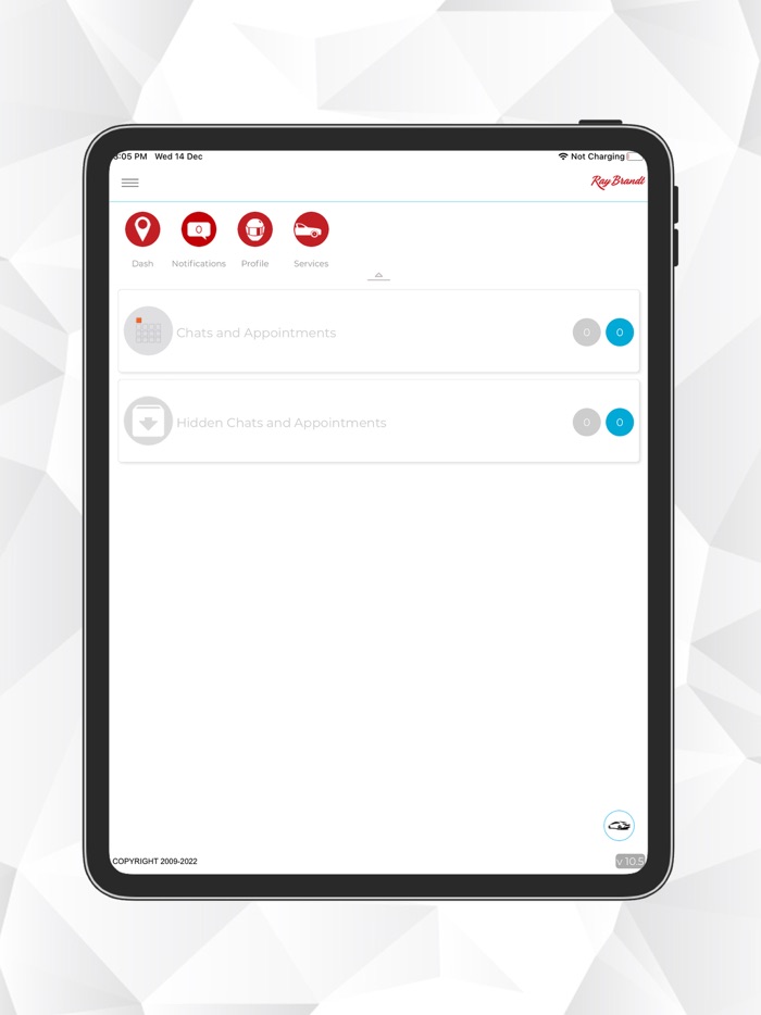 RAY BRANDT AUTO CARE