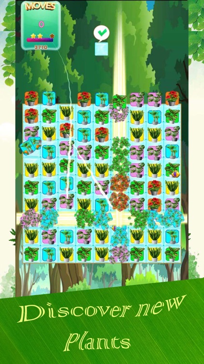 Plants Match screenshot-5