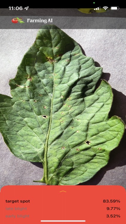 Tomato Disease Diagnosis screenshot-4