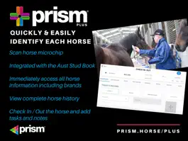 Game screenshot Prism Plus Tablet hack