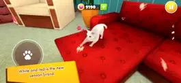 Game screenshot Cat Simulator 3D - My Kitten hack