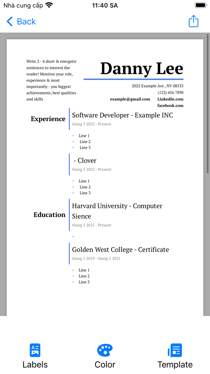 Resume Builder Professional