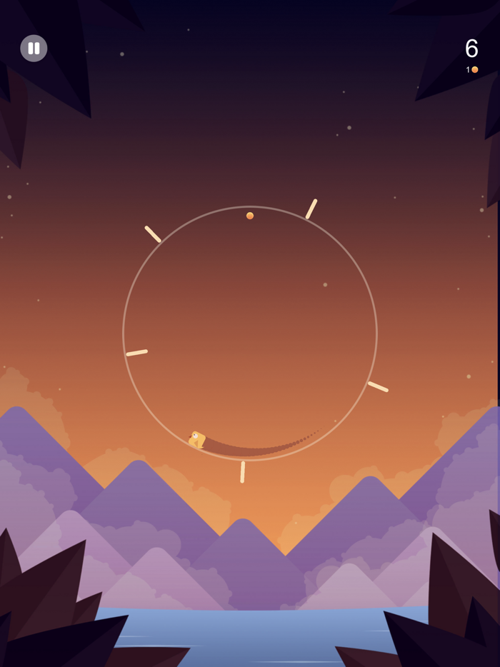 Flying Birds - Circle Journey