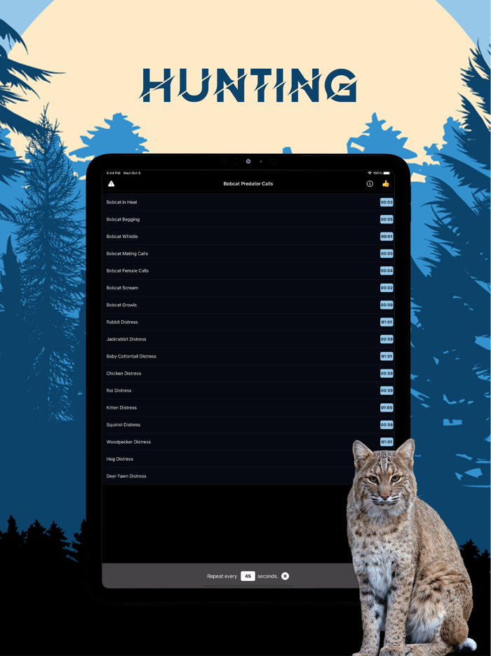 Bobcat Magnet - Predator Calls