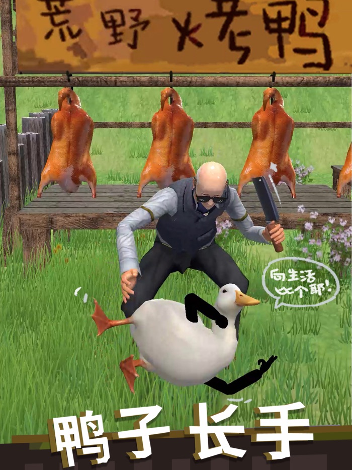 长手的鸭子