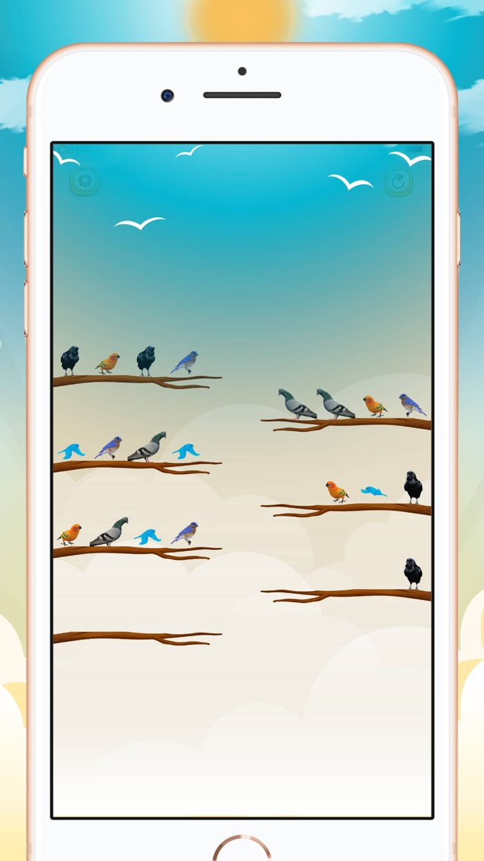 Bird Sort Color Puzzle