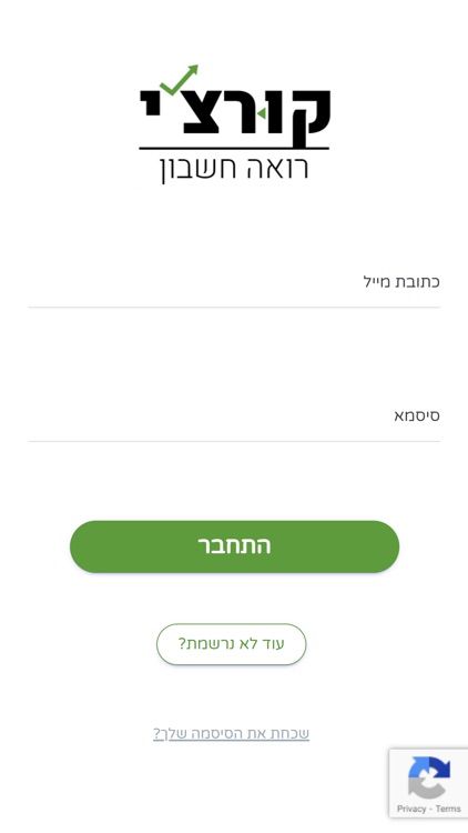 קורצ'י רואה חשבון