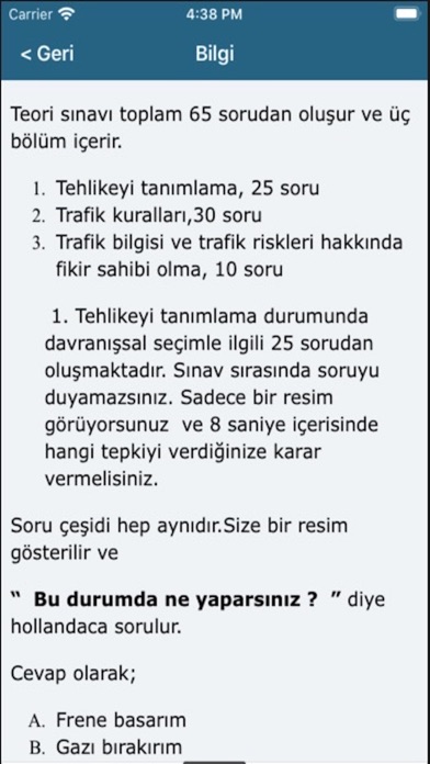 Turkse Verkeersles screenshot 3