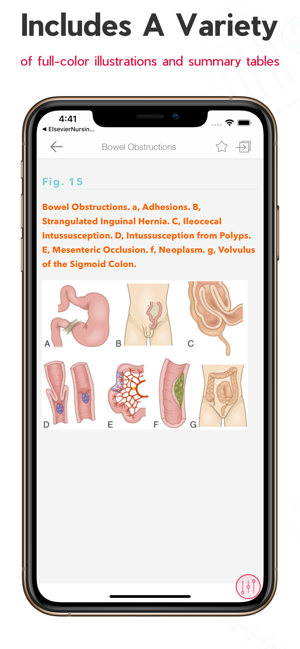 Medical Surgical Nursing Lewis(圖9)-速報App