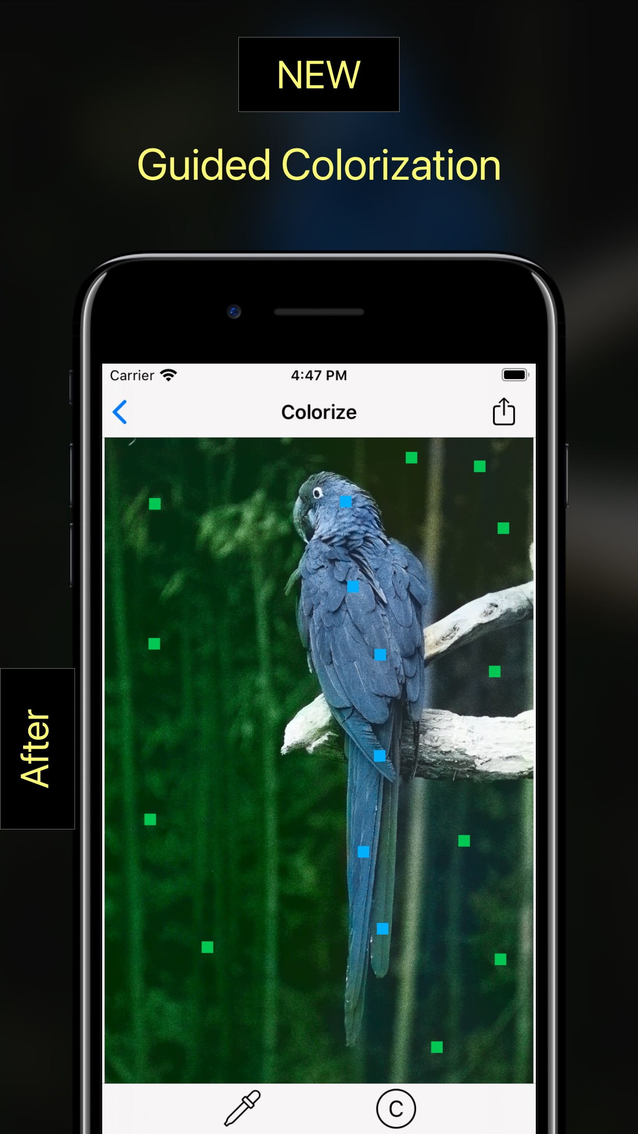 Screenshot do app Pholorize: Colorize Old Photo