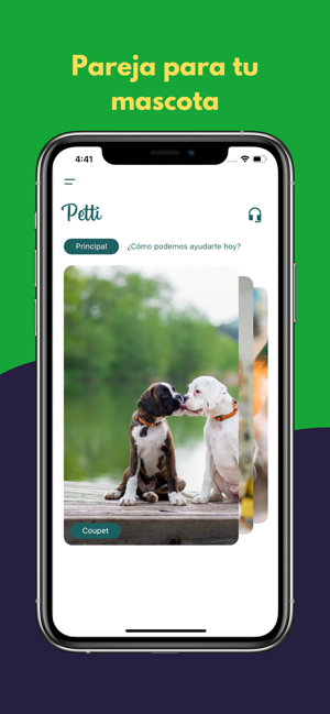 Petti(圖4)-速報App