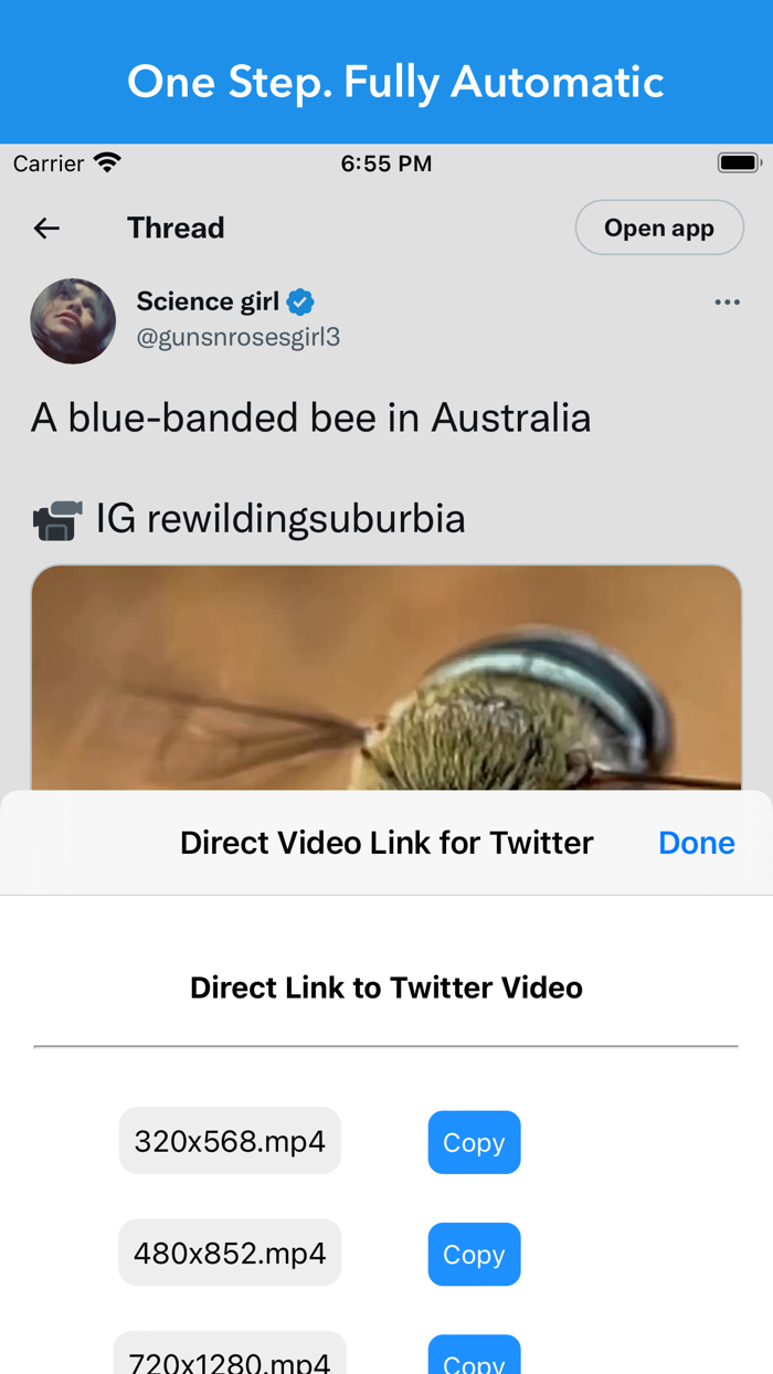 Video Link for Twitter