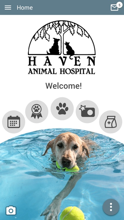 Haven Animal Hospital