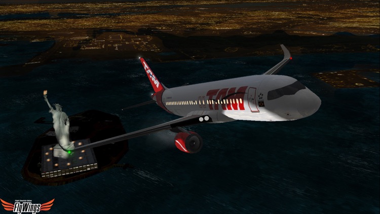 Flight Simulator Night Fly screenshot-7