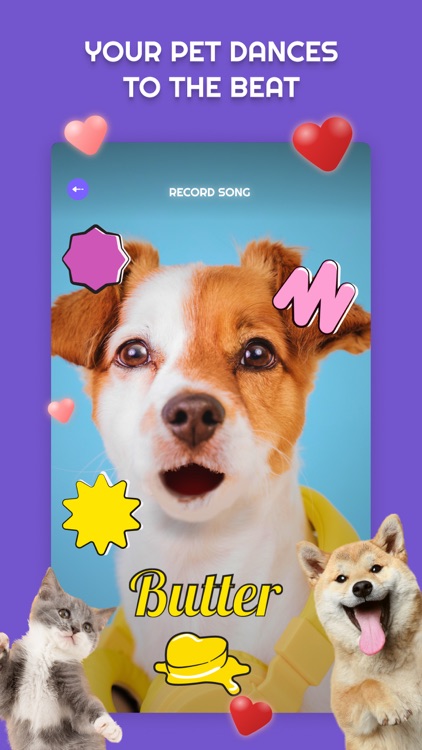 PetStar: My Pet Sings & Dances screenshot-4