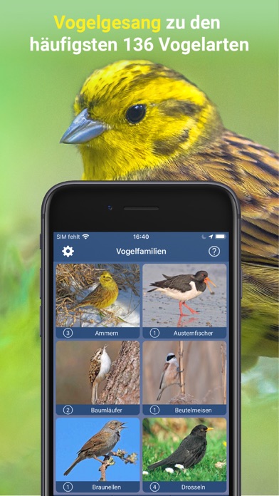 Vogelstimmen Id - Rufe,Gesänge screenshot 4