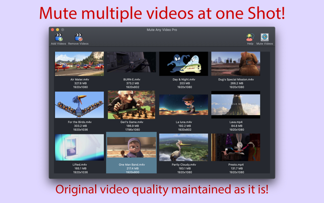 ‎Mute Any Video Pro Screenshot