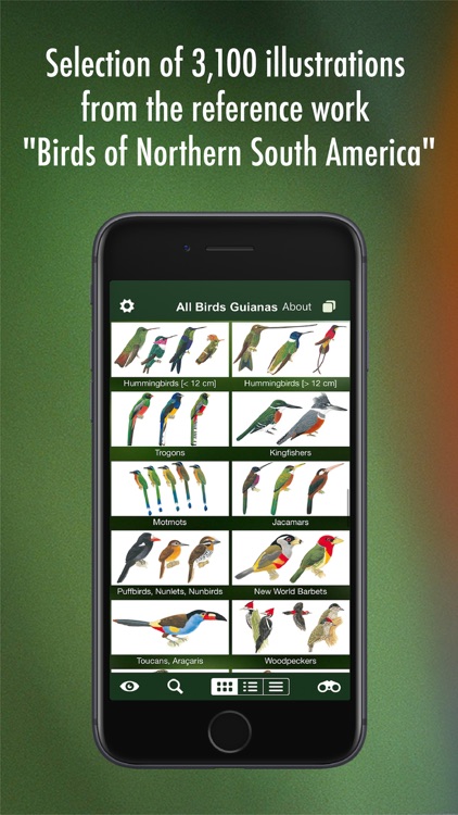 All Birds Guianas screenshot-7
