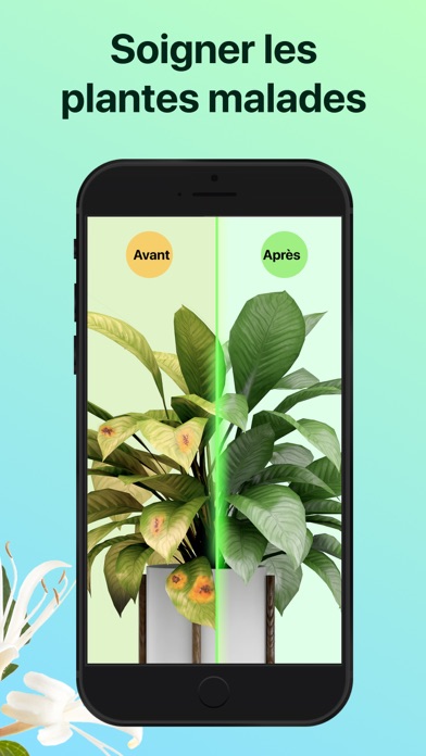 PictureThis:Identifier Plantes PictureThis:Identifier Plantes