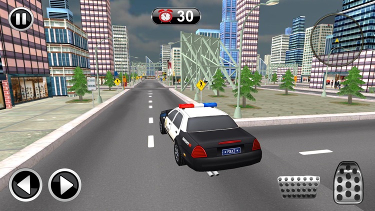 Police Car Drive Simulator screenshot-4