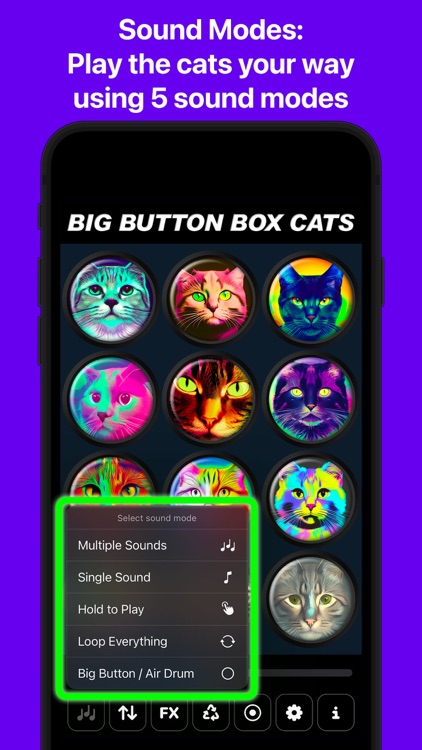 Big Button Box: Cat Sounds screenshot-3