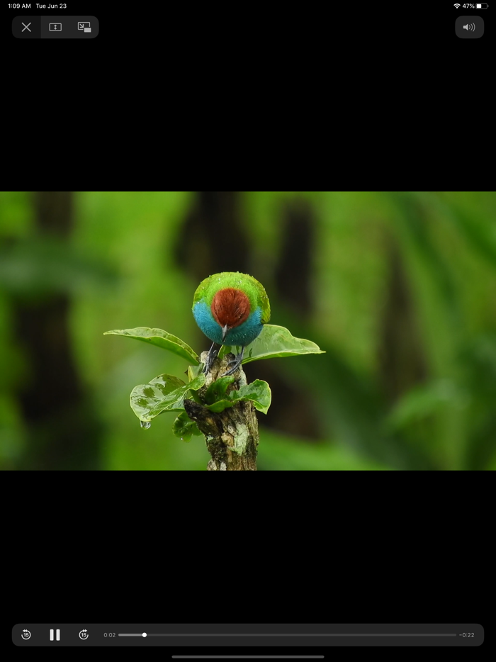 Phone Hardware Feel  Testing